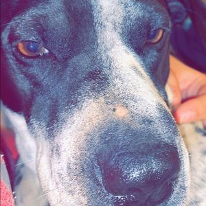 Meet your Posher, Jacey